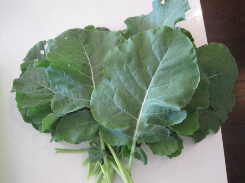 Are broccoli leaves edible?
