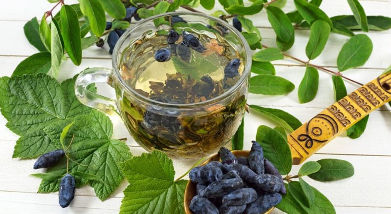 What are the benefits of honeysuckle leaves?