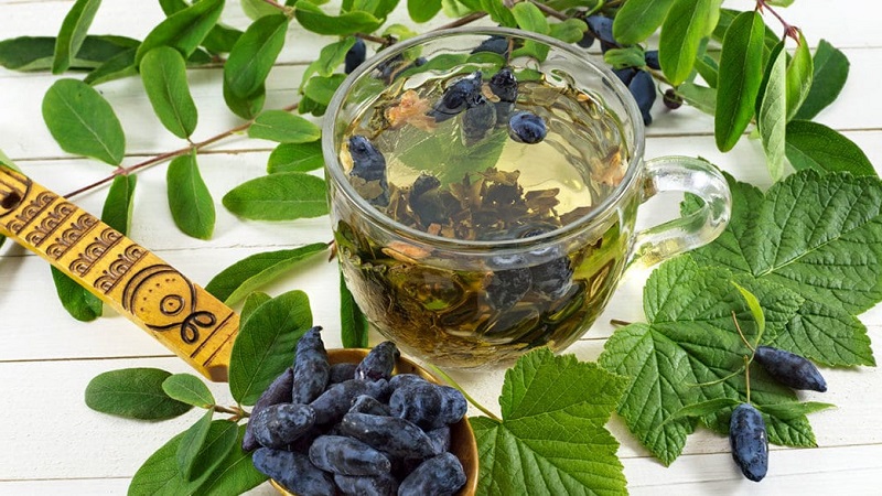 benefits of honeysuckle for women