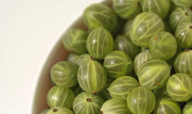 How many calories are royal berries and is it possible to eat gooseberries while losing weight?