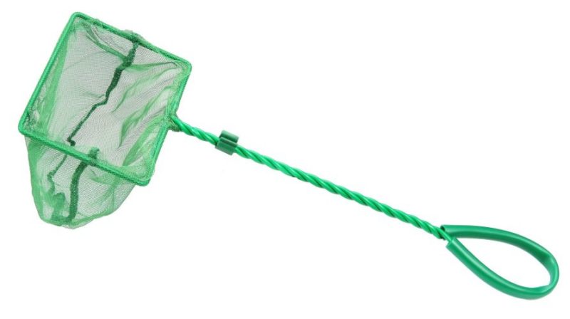 How to make a device for collecting gooseberries from a plastic bottle and use it correctly