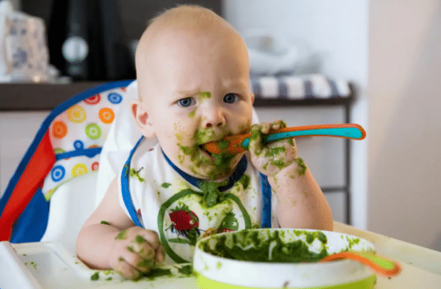 Is it possible to eat basil while breastfeeding, the benefits and harms of greens